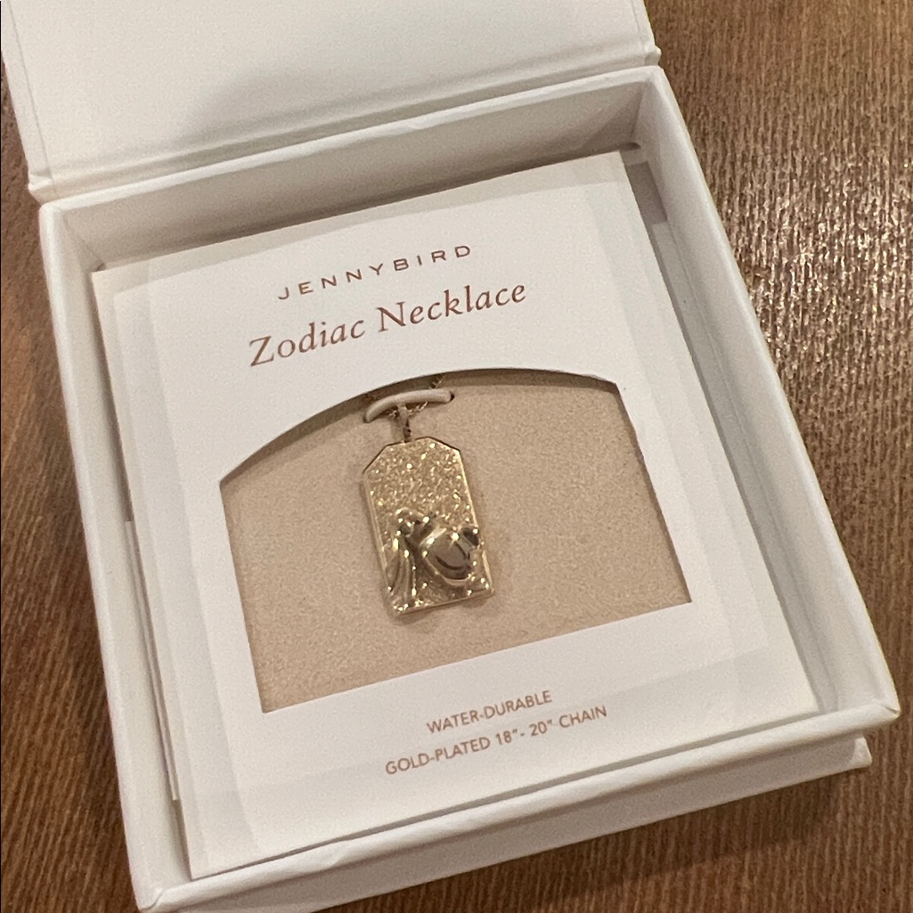 Jenny Bird Aquarius Zodiac Pendant Necklace - Nib 125$
